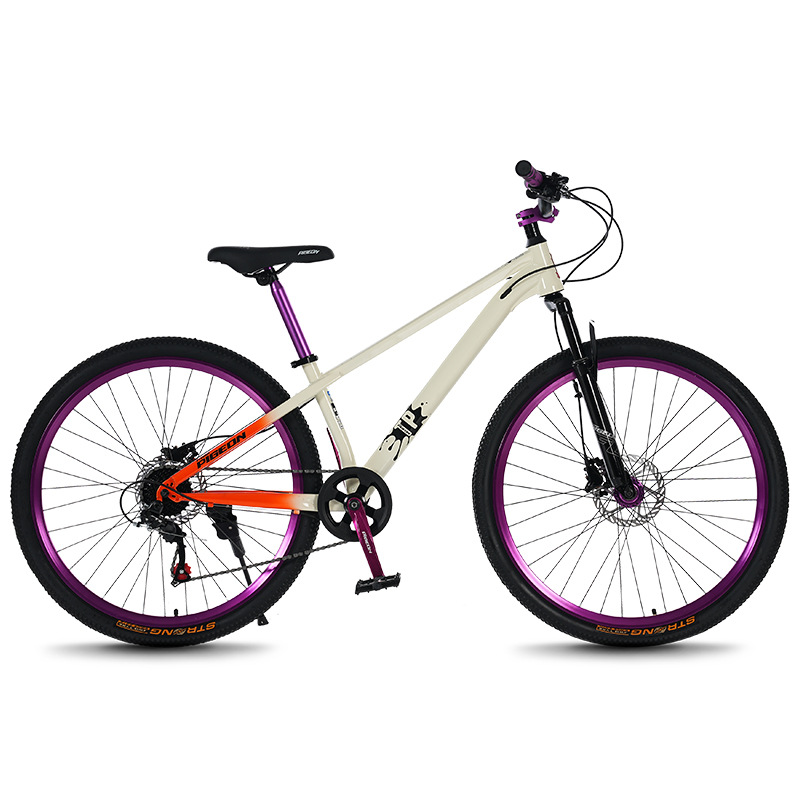 Mountainbike jeugd & volwassen - Mountain Biking Youth recensie en prijs